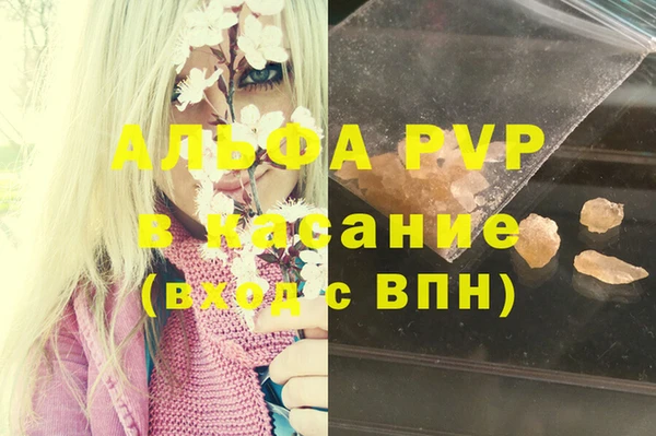 гашик Михайлов