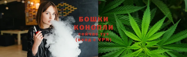 гашик Михайлов