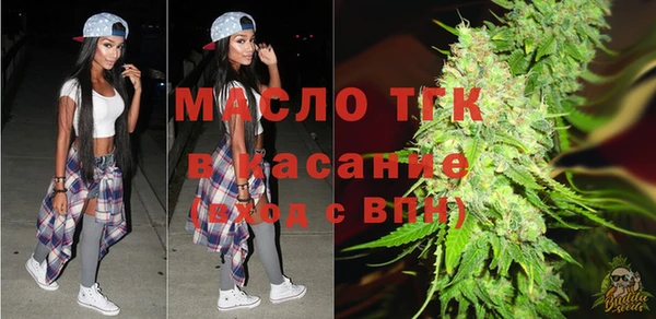 гашик Михайлов