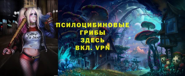 гашик Михайловск