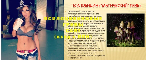 гашик Михайловск