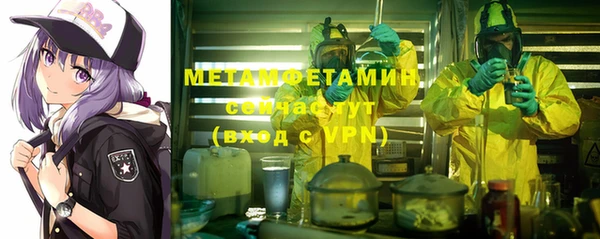 гашик Михайлов