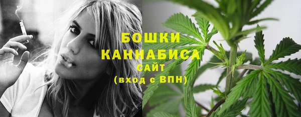 гашик Михайлов