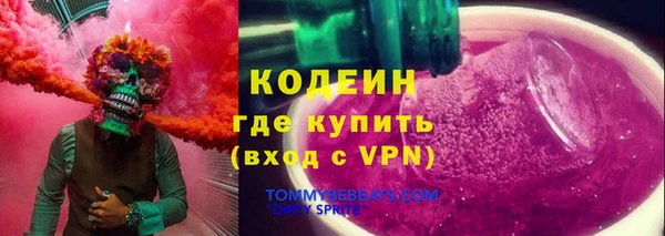гашик Михайлов